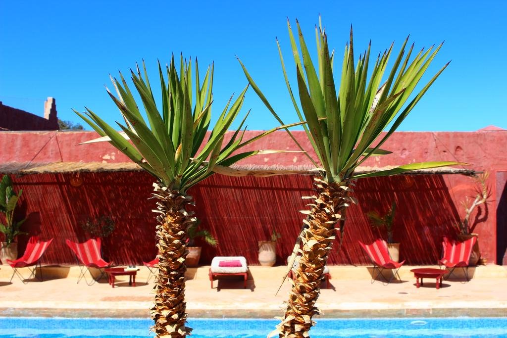 Les 3 Chameaux en Morocco