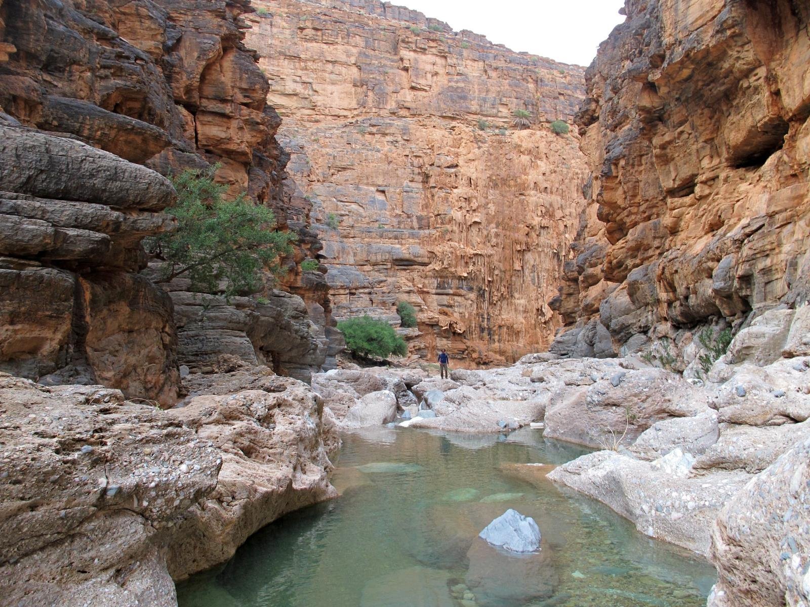 Les 3 Chameaux en Morocco