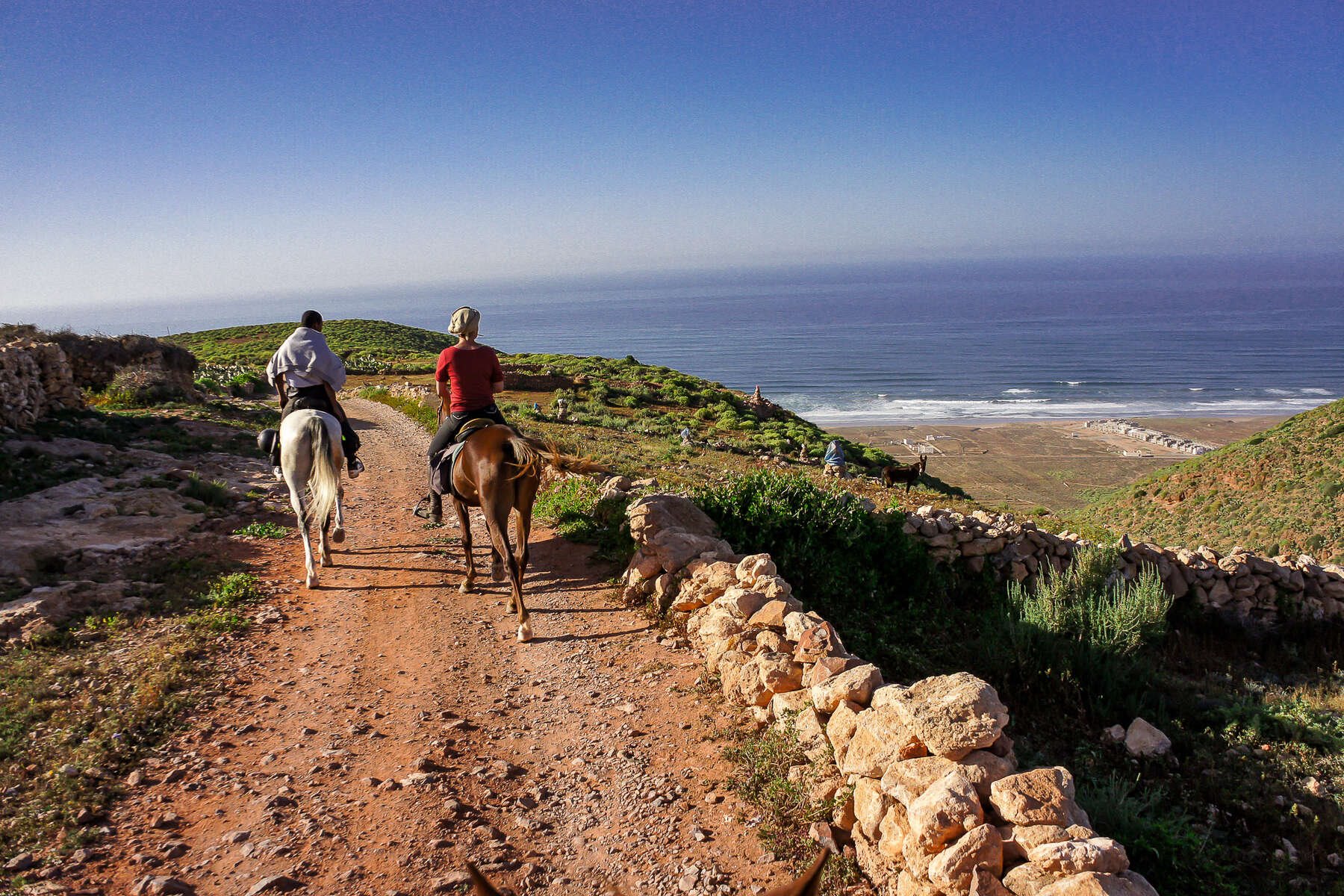 Les 3 Chameaux en Morocco