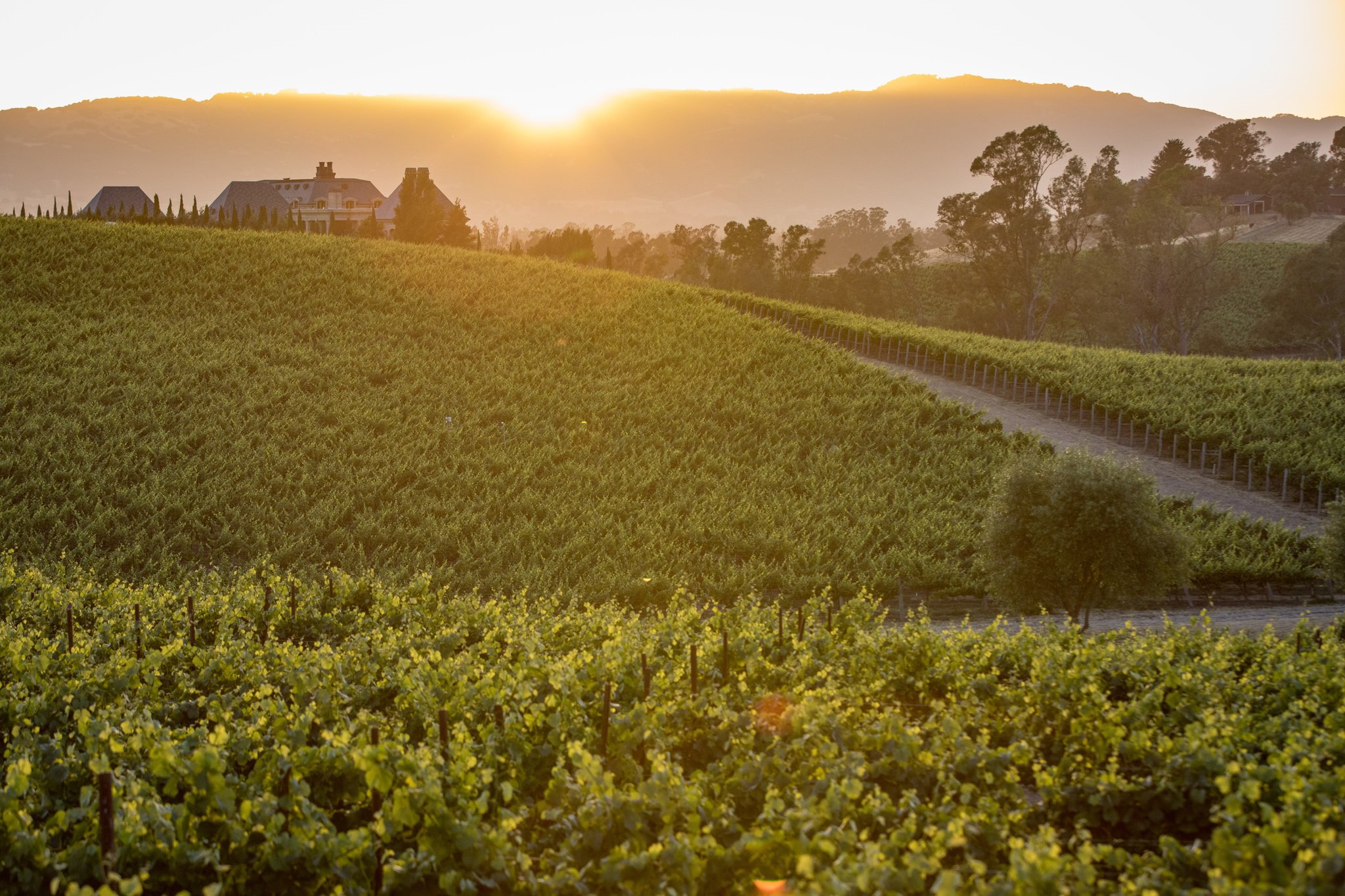 Napa Valley | LAT.40