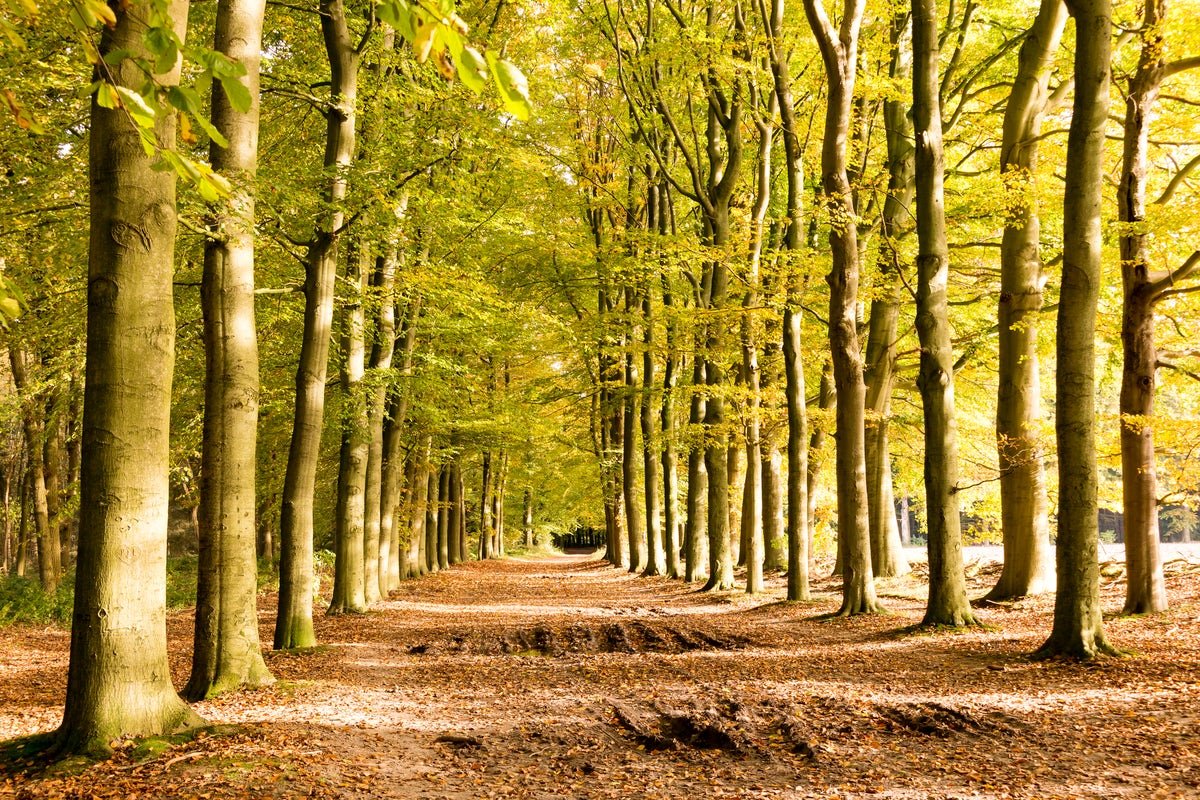 Parc Broekhuizen en Netherlands