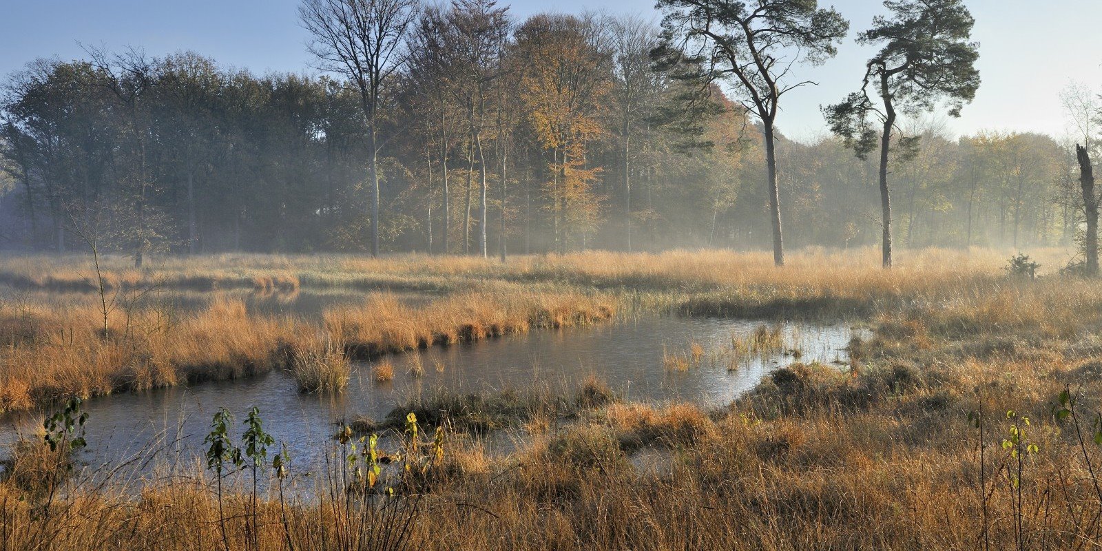 Parc Broekhuizen en Netherlands
