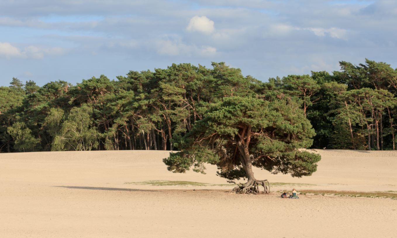 Parc Broekhuizen en Netherlands