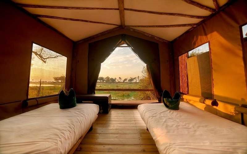 Oddballs Camp en Delta Okavango
