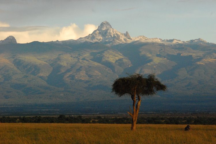 Ol Pejeta | LAT.40