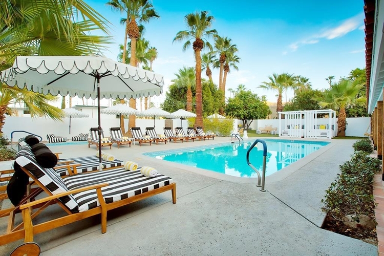 Dive Palm Springs en Palm Springs