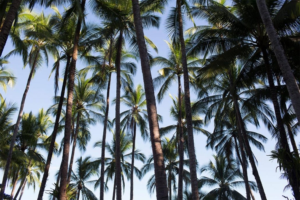 Islas Secas Resort en Islas Secas