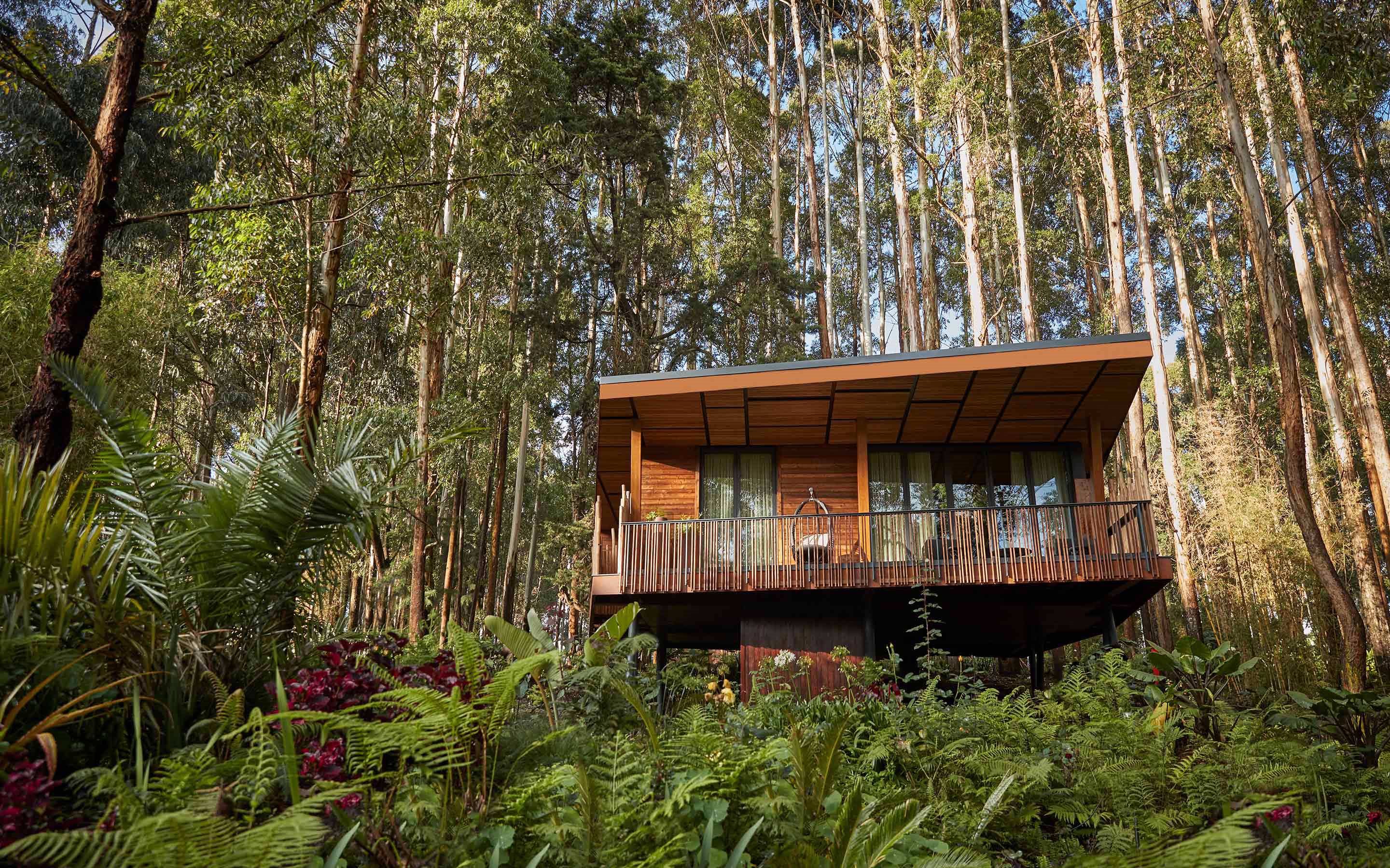One&Only Gorilla's Nest en Rwanda