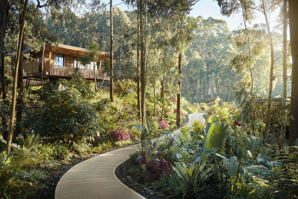 One&Only Gorilla's Nest en Rwanda