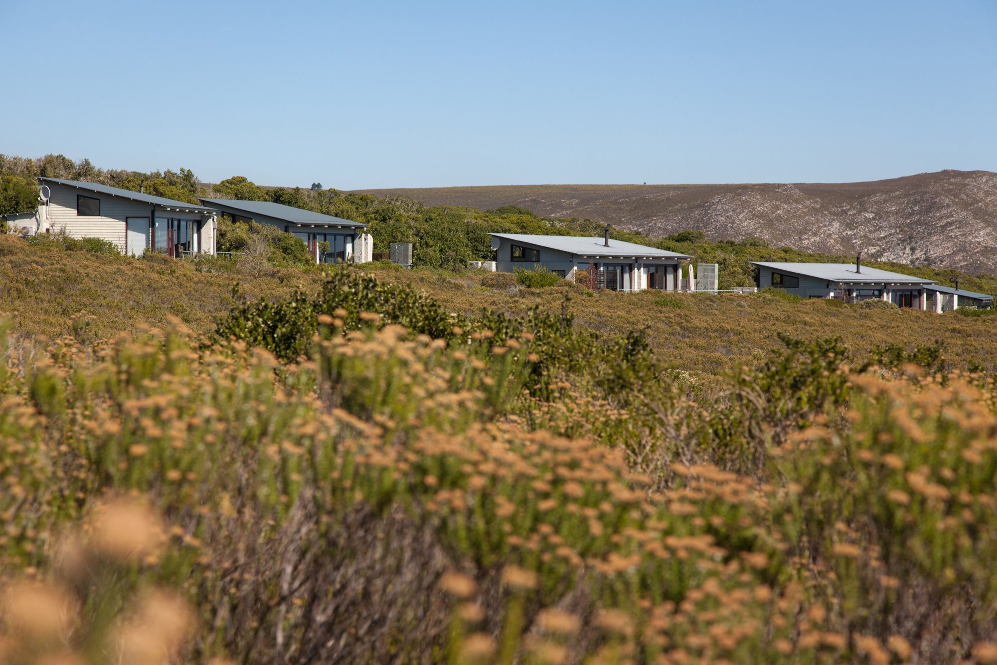 Grootbos Private Nature Reserve en South Africa