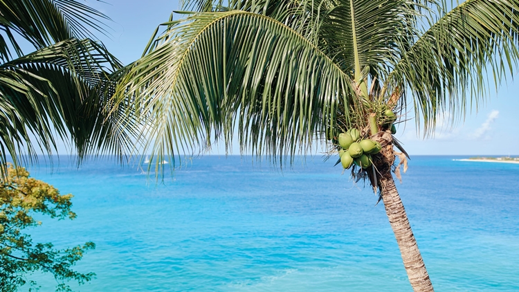 Belmond La Samanna en Saint Martin