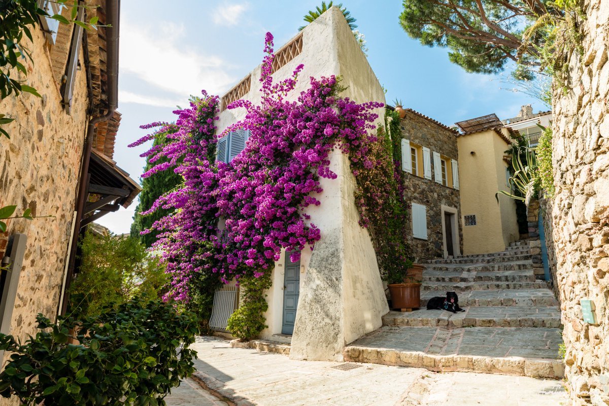Saint Tropez | LAT.40