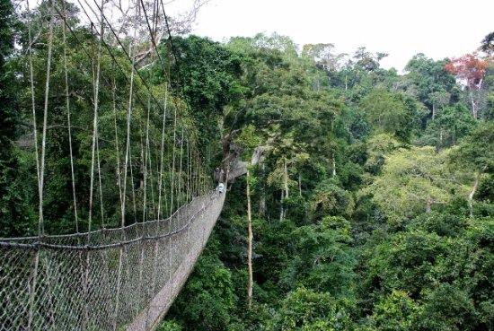 Imagen de viaje LAT.40