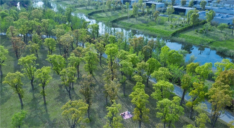 Amanyangyun en Shanghai
