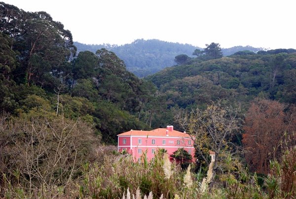 Quinta de Sao Tadeu en Sintra
