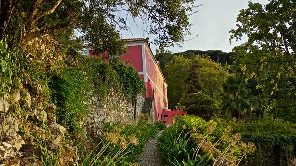 Quinta de Sao Tadeu | LAT.40
