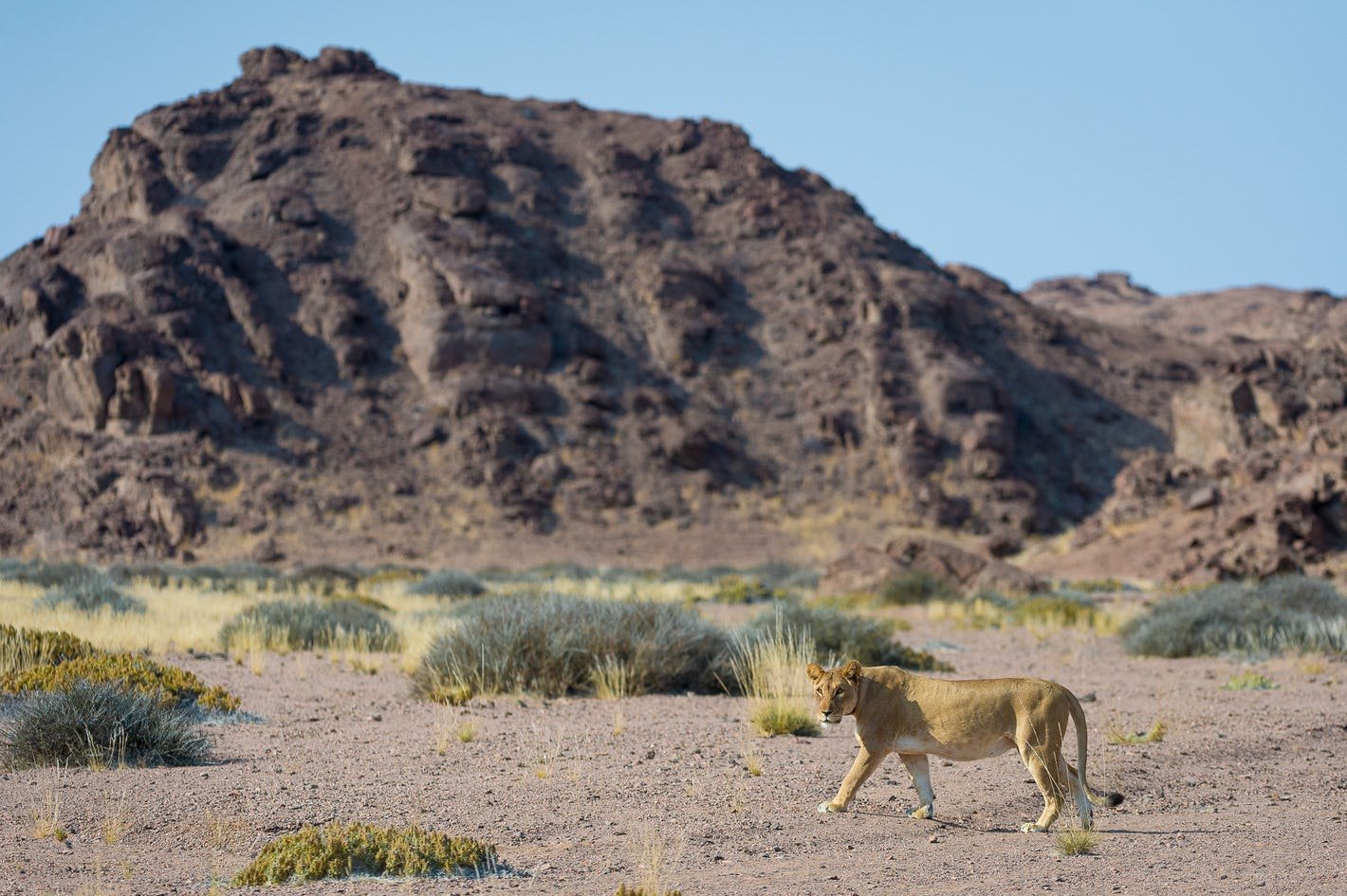 Hoanib Skeleton Coast en Skeleton Coast