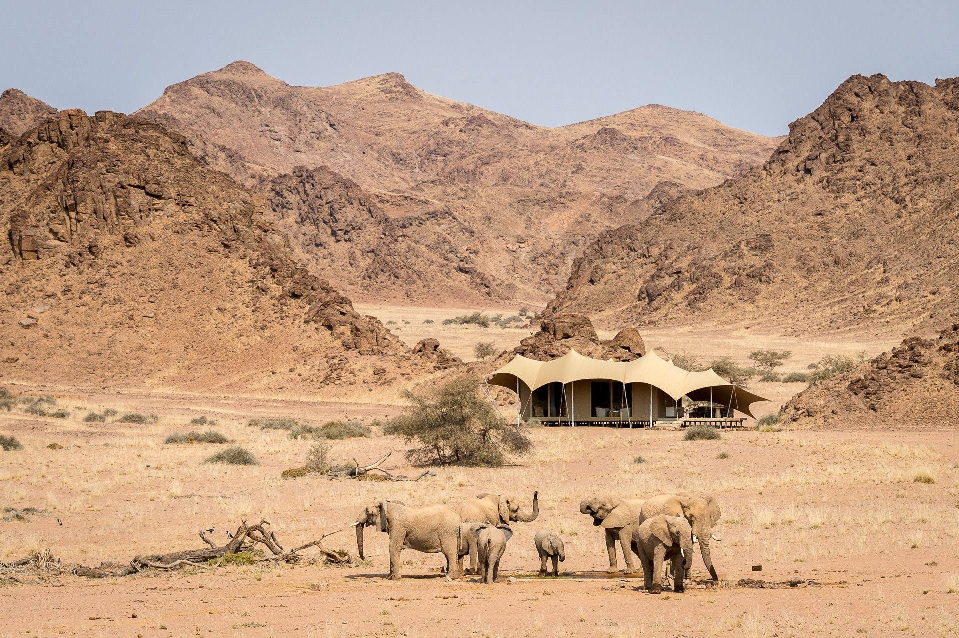 Hoanib Skeleton Coast en Skeleton Coast