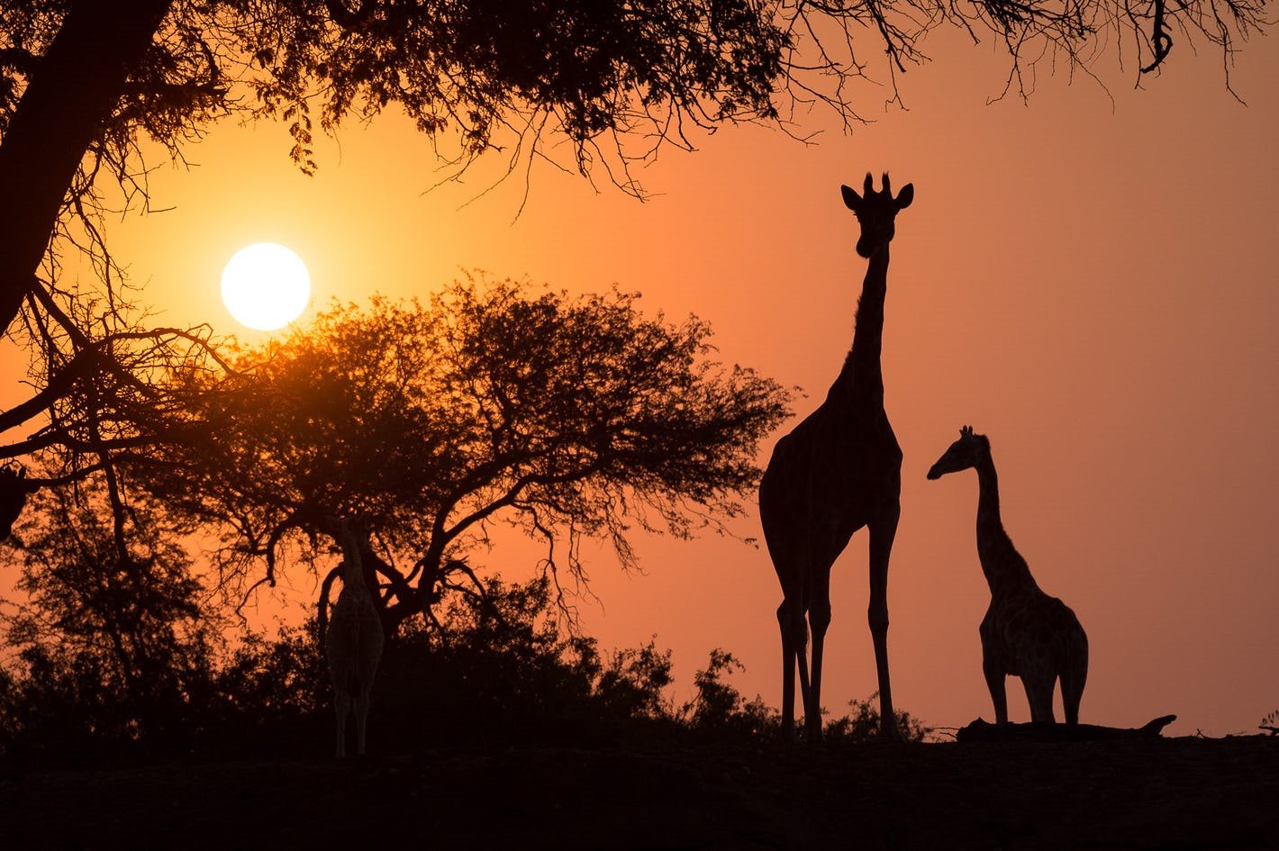 Hoanib Skeleton Coast en Skeleton Coast