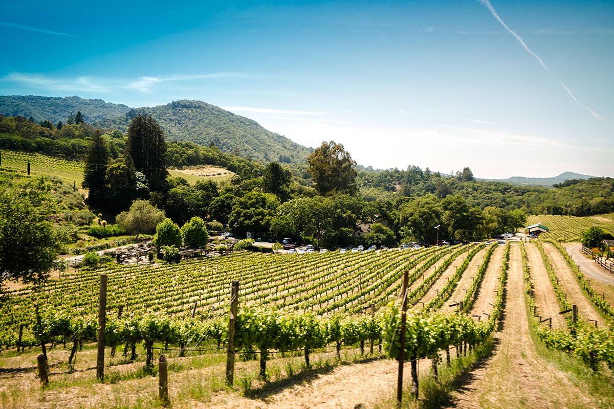 Sonoma County | LAT.40