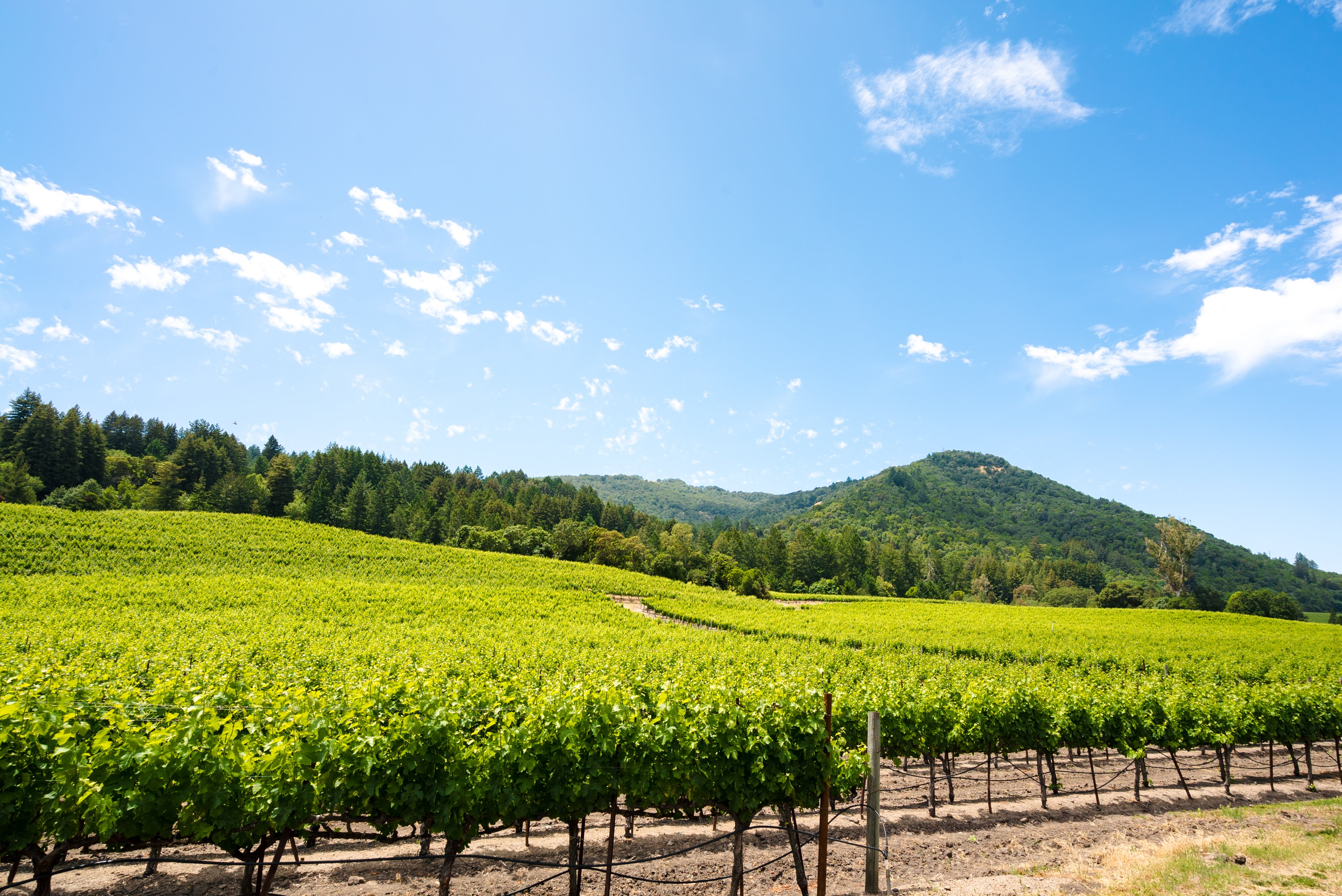 Sonoma County | LAT.40