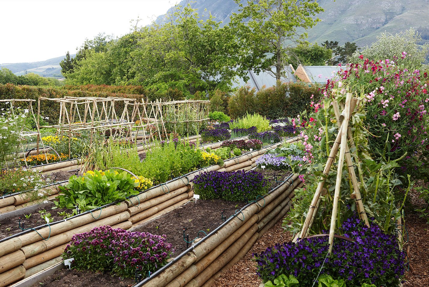 Delaire Graff Estate en Stellenbosch