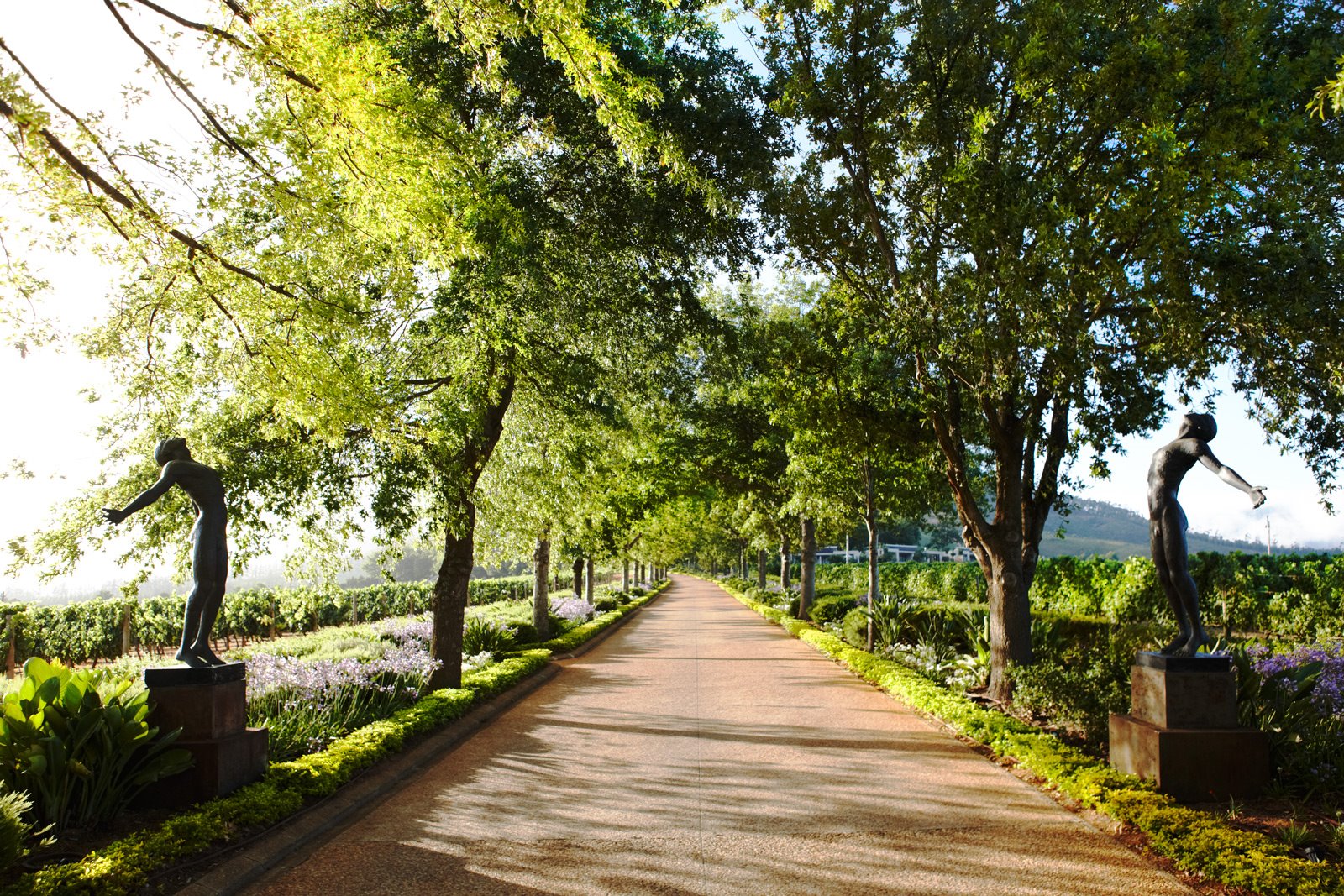 Delaire Graff Estate en Stellenbosch