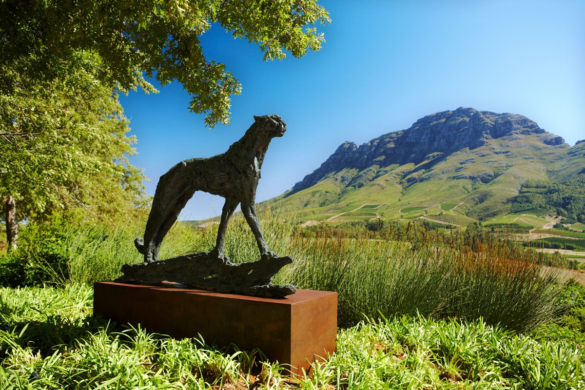 Delaire Graff Estate en Stellenbosch