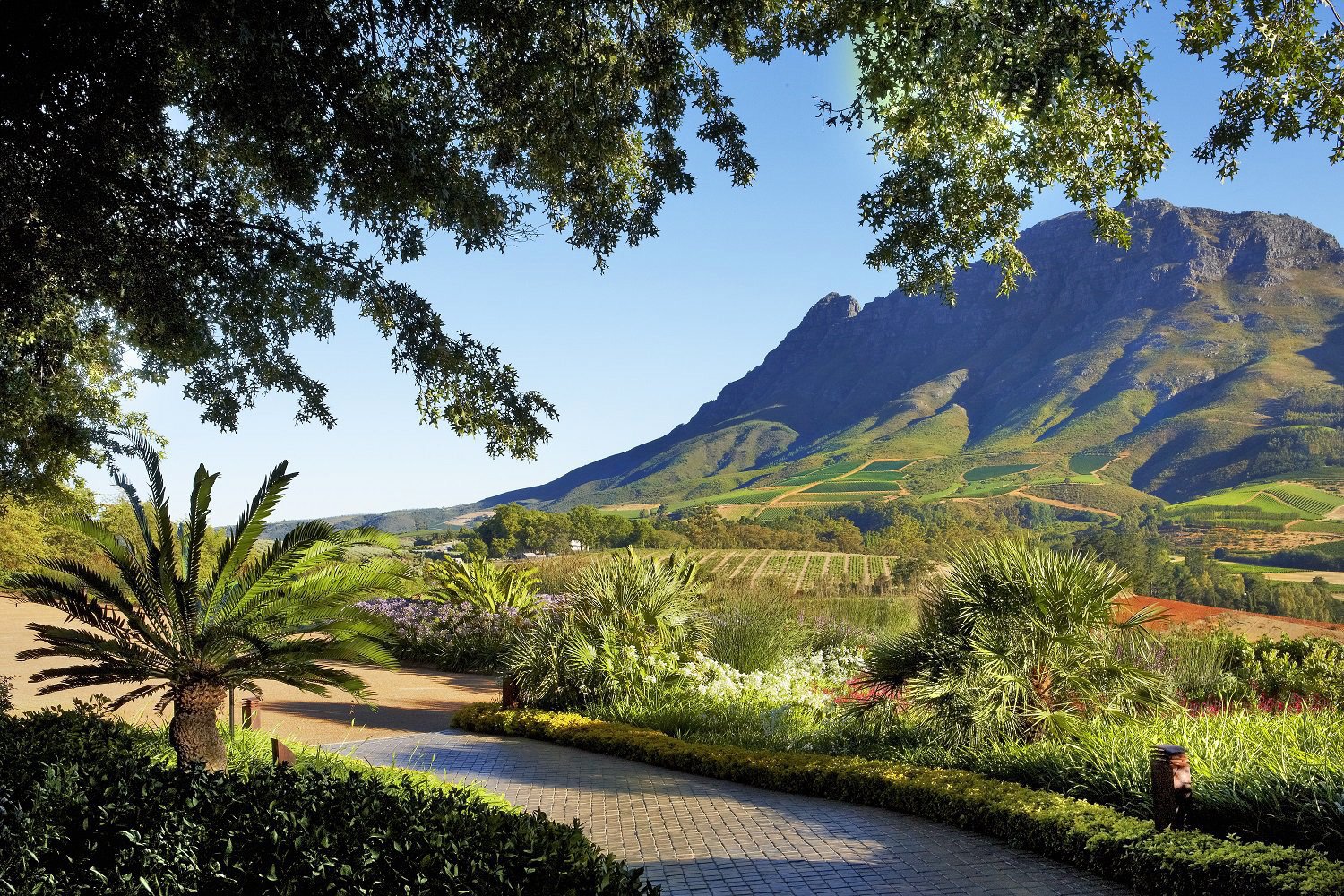 Delaire Graff Estate en Stellenbosch