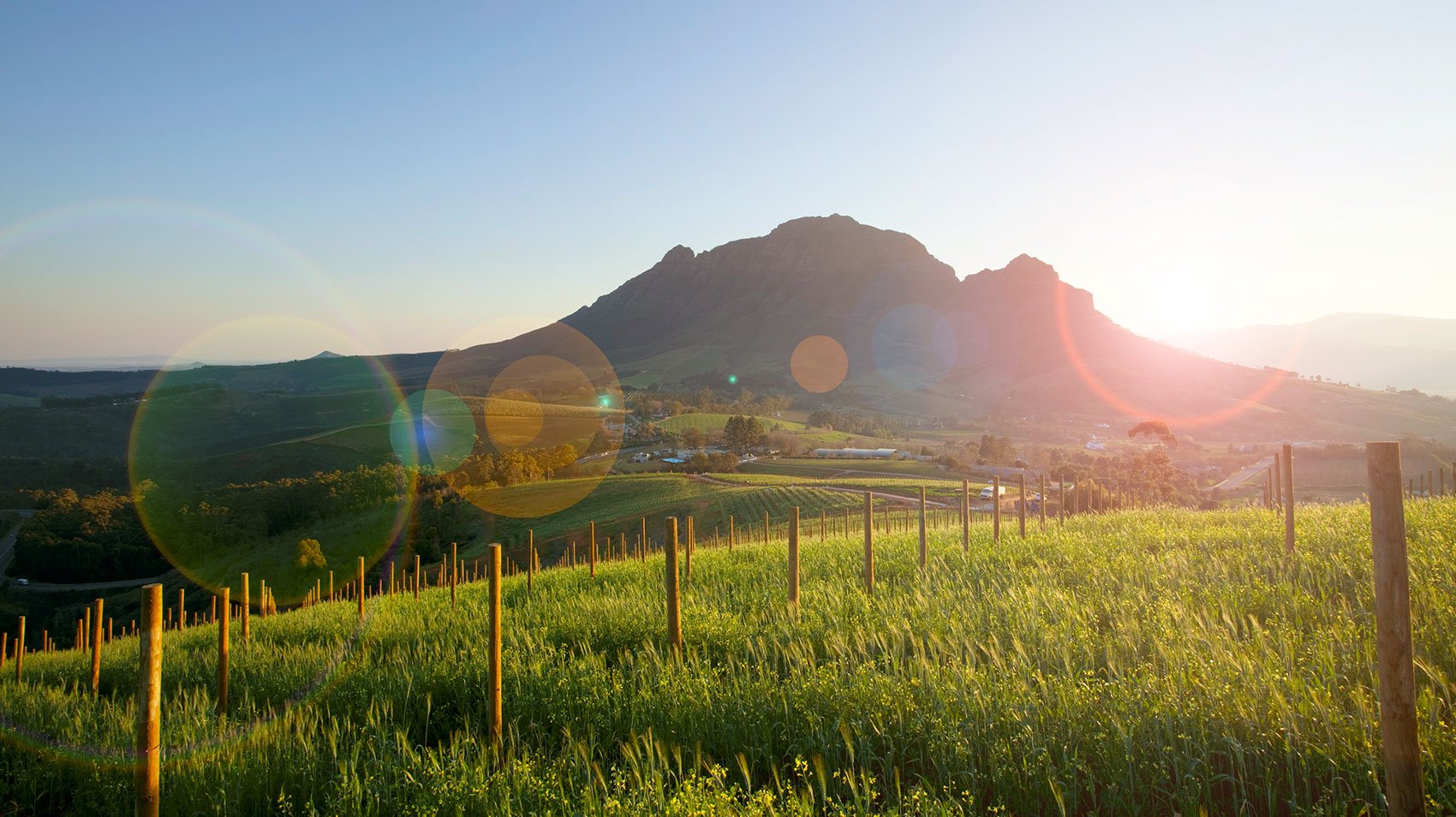 Delaire Graff Estate en Stellenbosch
