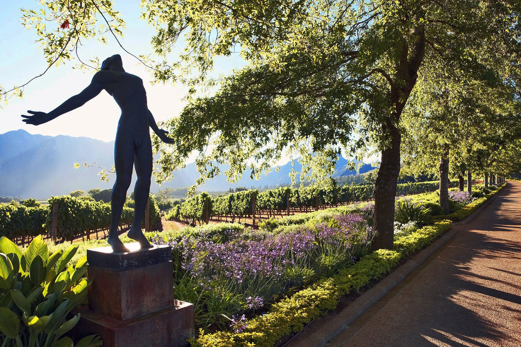 Delaire Graff Estate en Stellenbosch