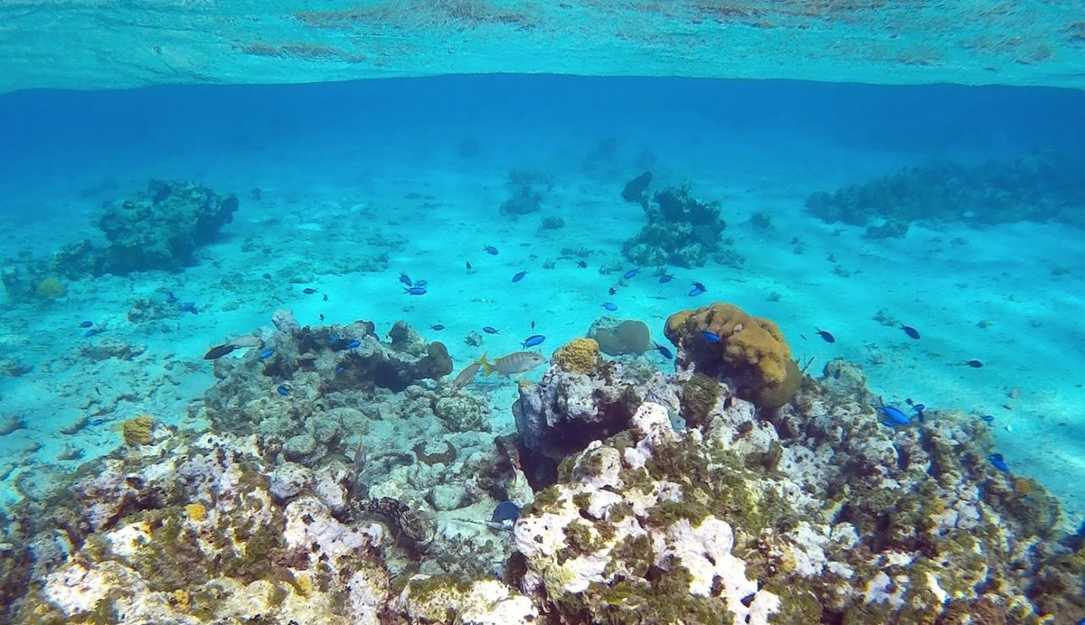 South Caicos | LAT.40