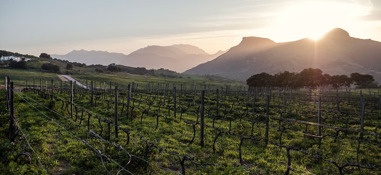 Finca La Donaira en Spain