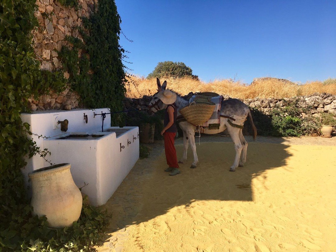 Finca La Donaira en Spain