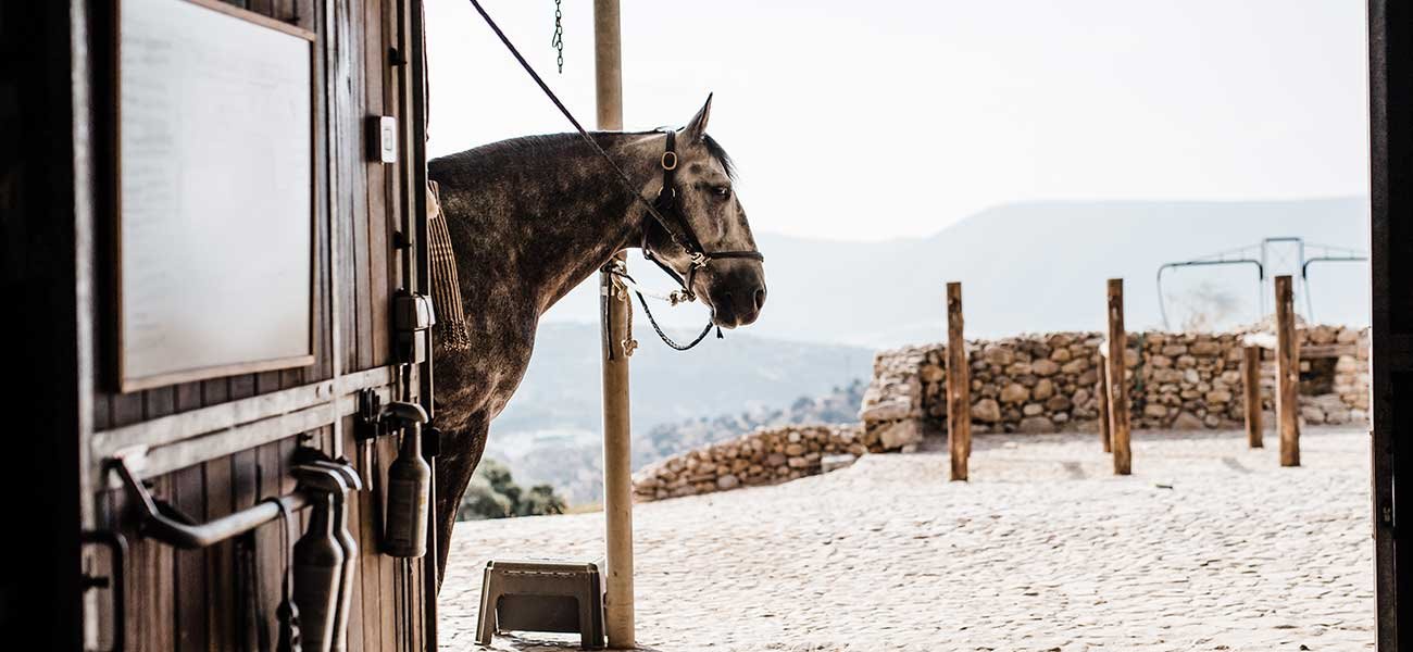 Finca La Donaira en Spain