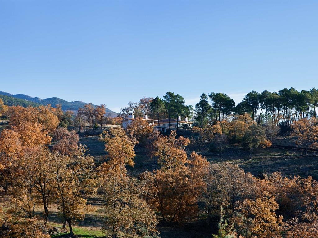 Quinta San Cayetano  en Spain