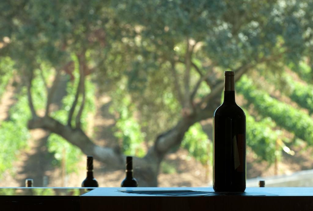 Valbusenda Hotel Bodega & Spa en Spain