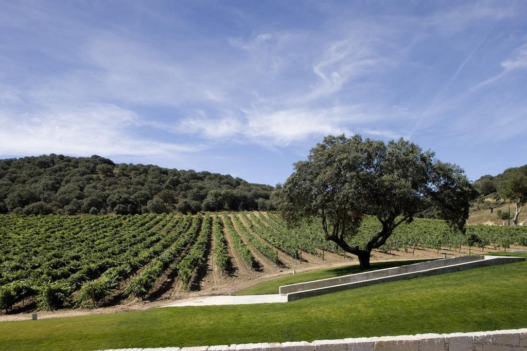 Valbusenda Hotel Bodega & Spa en Spain
