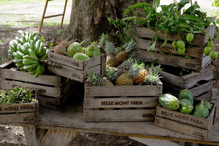 Belle Mont Farm en San Cristobal y Nieves