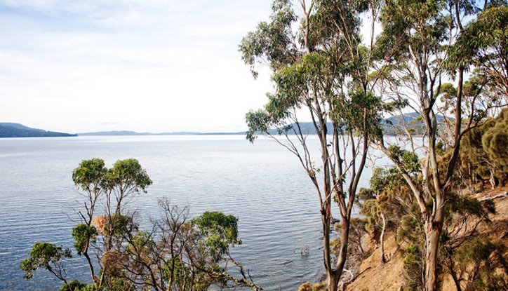 Satellite Island en Tasmania
