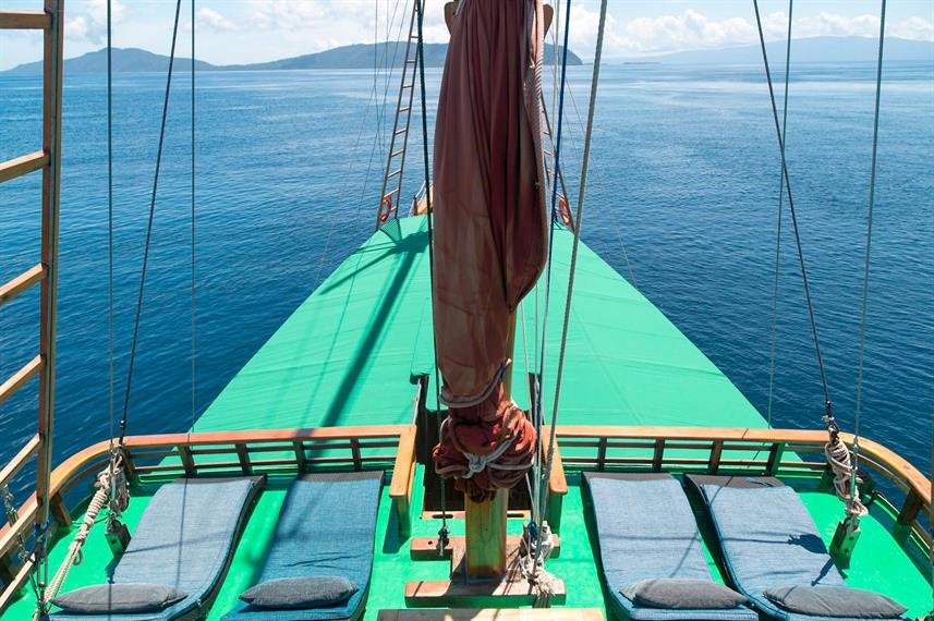 Tiger Blue en Raja Ampat