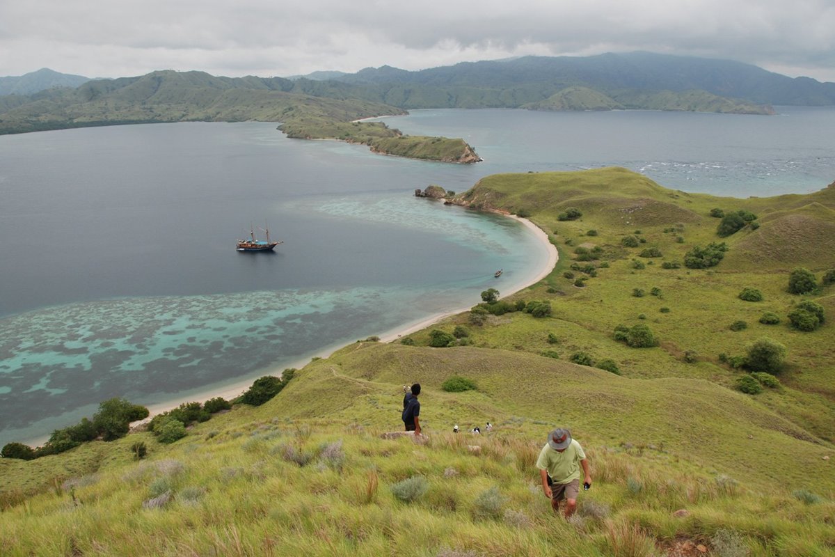 Tiger Blue en Raja Ampat