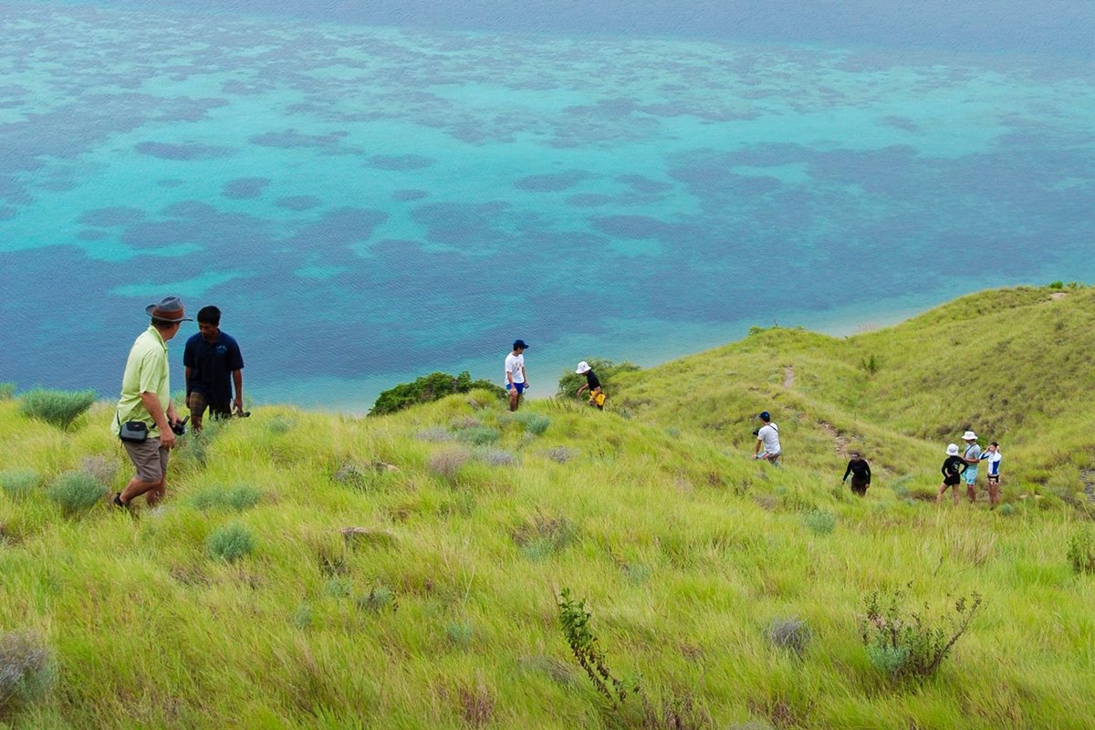 Tiger Blue en Raja Ampat
