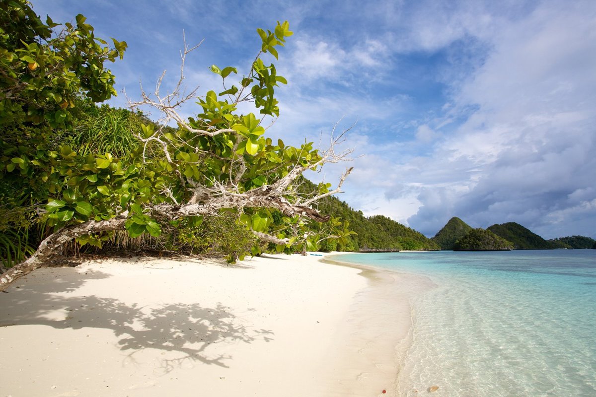Tiger Blue en Raja Ampat