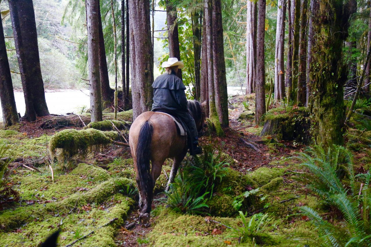 Clayoquot Wilderness en Tofino