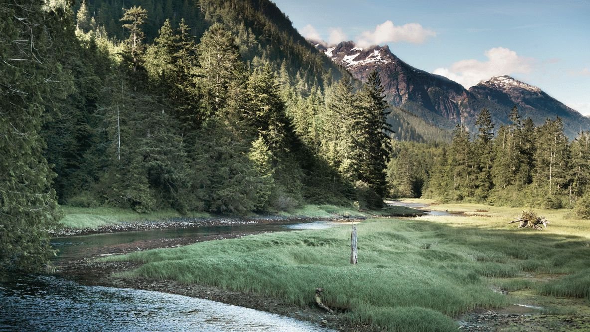 Clayoquot Wilderness en Tofino