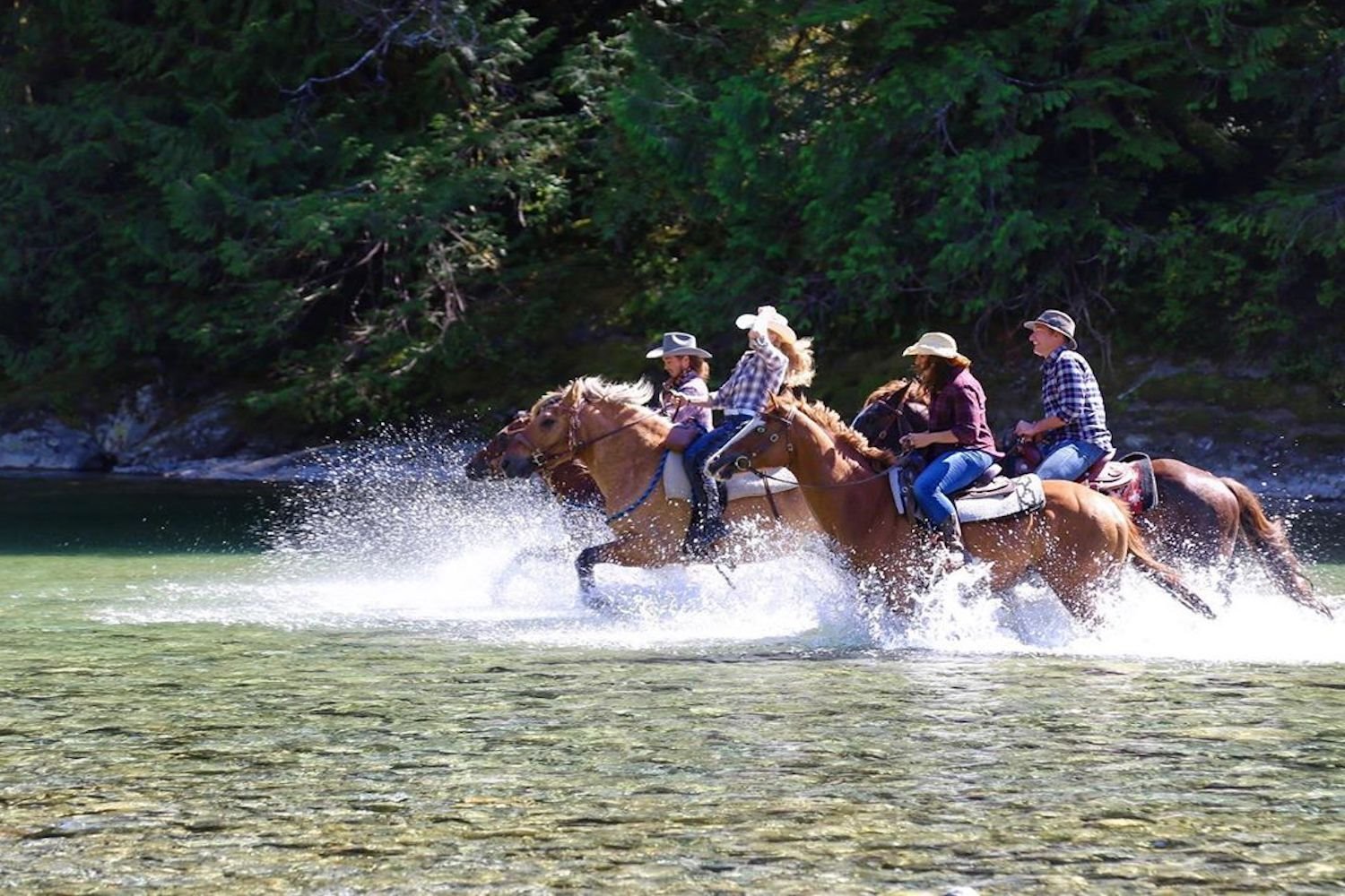 Clayoquot Wilderness en Tofino