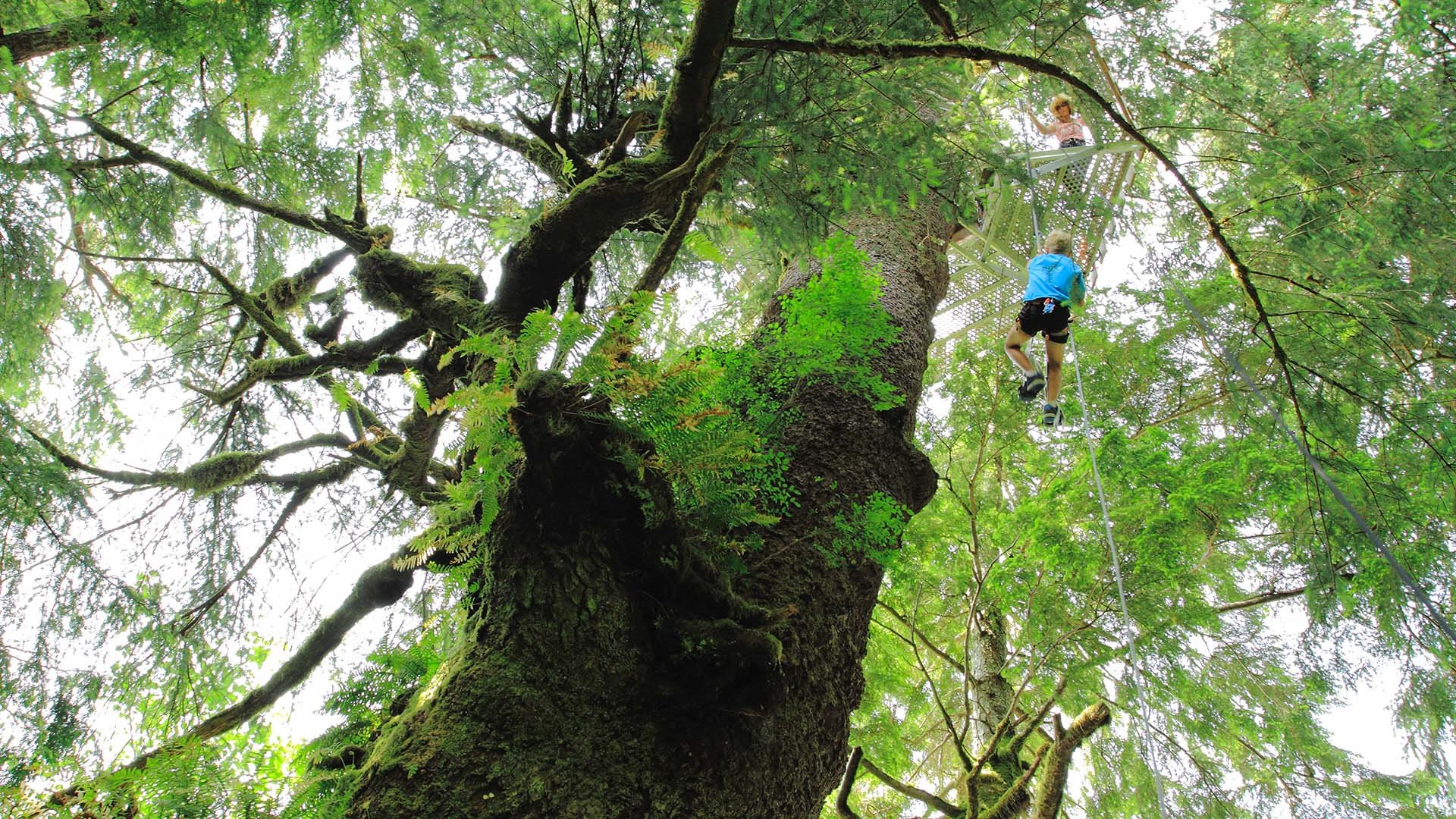 Clayoquot Wilderness en Tofino