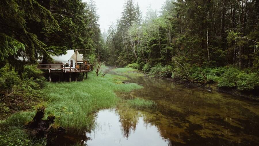 Clayoquot Wilderness en Tofino