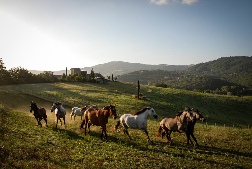 Hotel Castello di Reschio en Italy